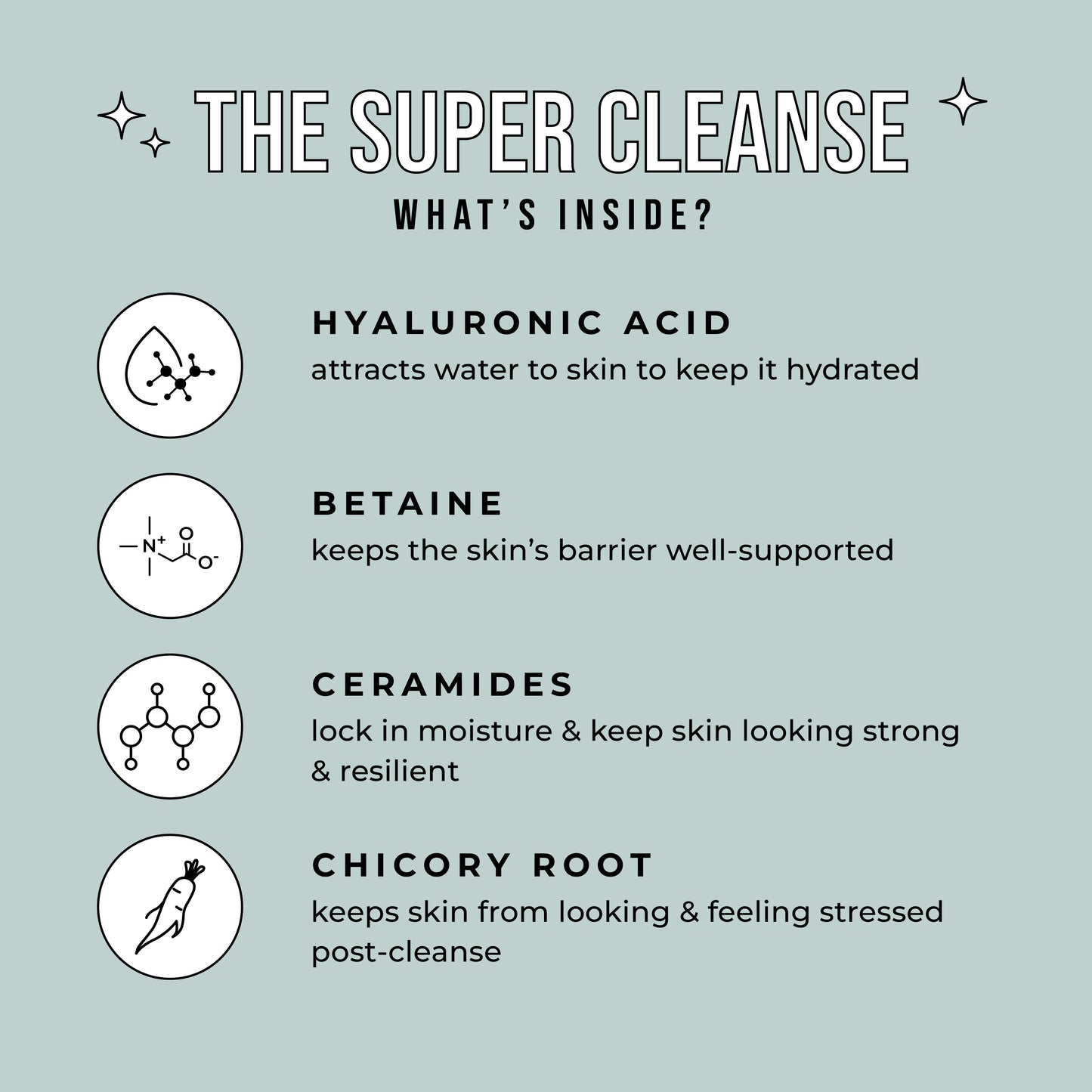 Foamy Gel Balancing Cleanser