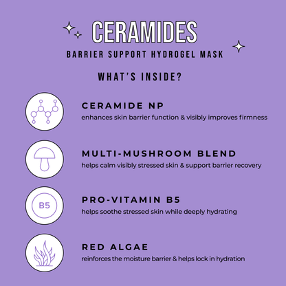 Ceramides Mask
